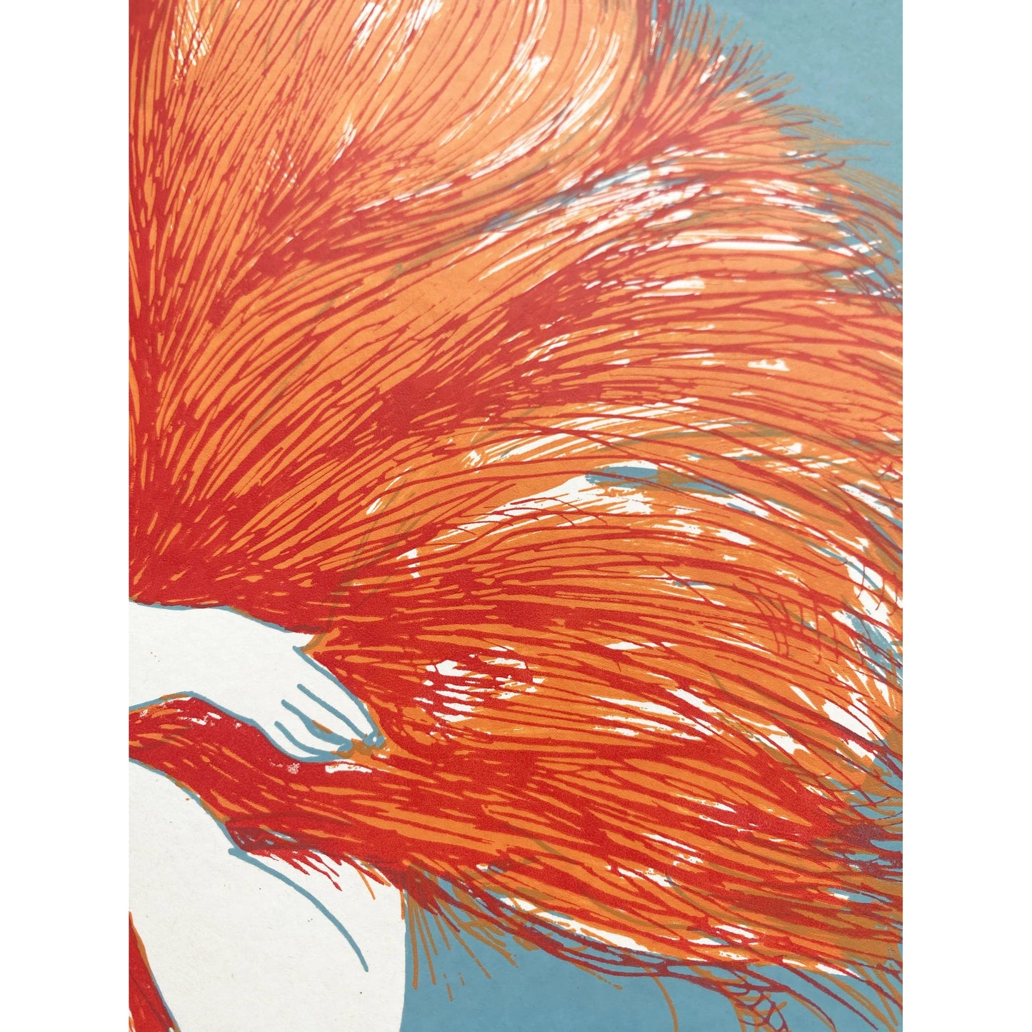 detalle del pelaje naranja de la print de Mar Rubio