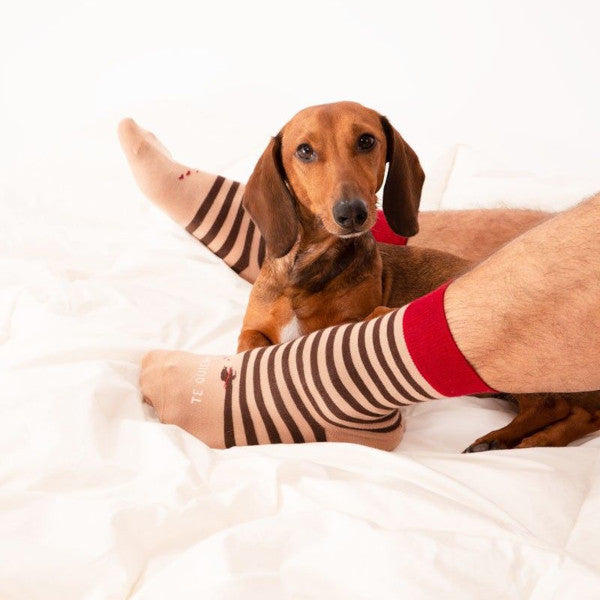 Pies en una cama blanca con calcetines a rayas marrones con estampado de perros salchichas y corazones y el mensaje Te quiero infinito junto a un perro Teckel marrón