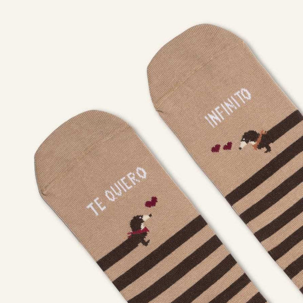 Detalle de las punteras de los calcetines a rayas marrones con estampado de perros salchichas y corazones y el mensaje Te quiero infinito
