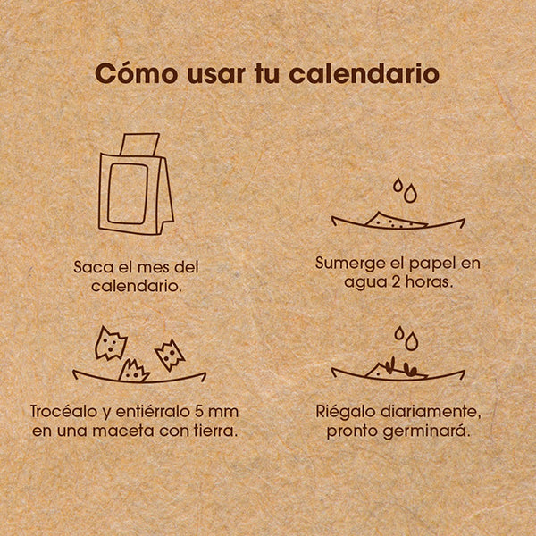Instrucciones para usar el calendario plantable 2024 con 12 hojas de papel de algodón con semillas en el interior
