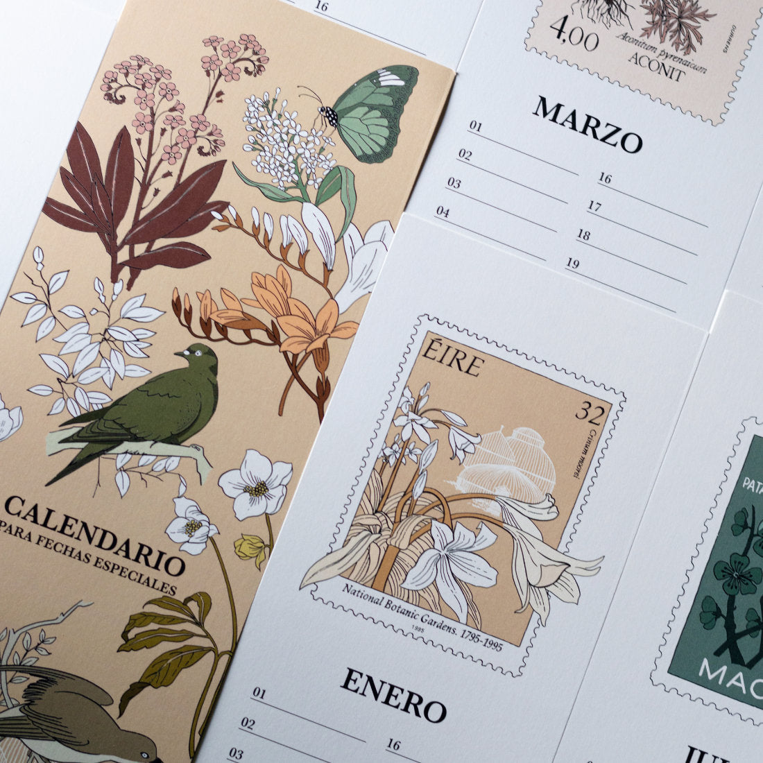 Láminas ilustradas del calendario 2026 para fechas especiales de Laura Agustí