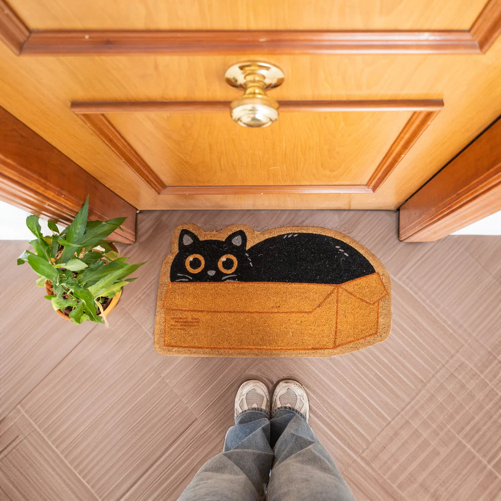 Felpudo de fibra de coco con forma de gato negro metido en una caja con los ojos muy abiertos ante una puerta y junto a una maceta una persona de pie delante