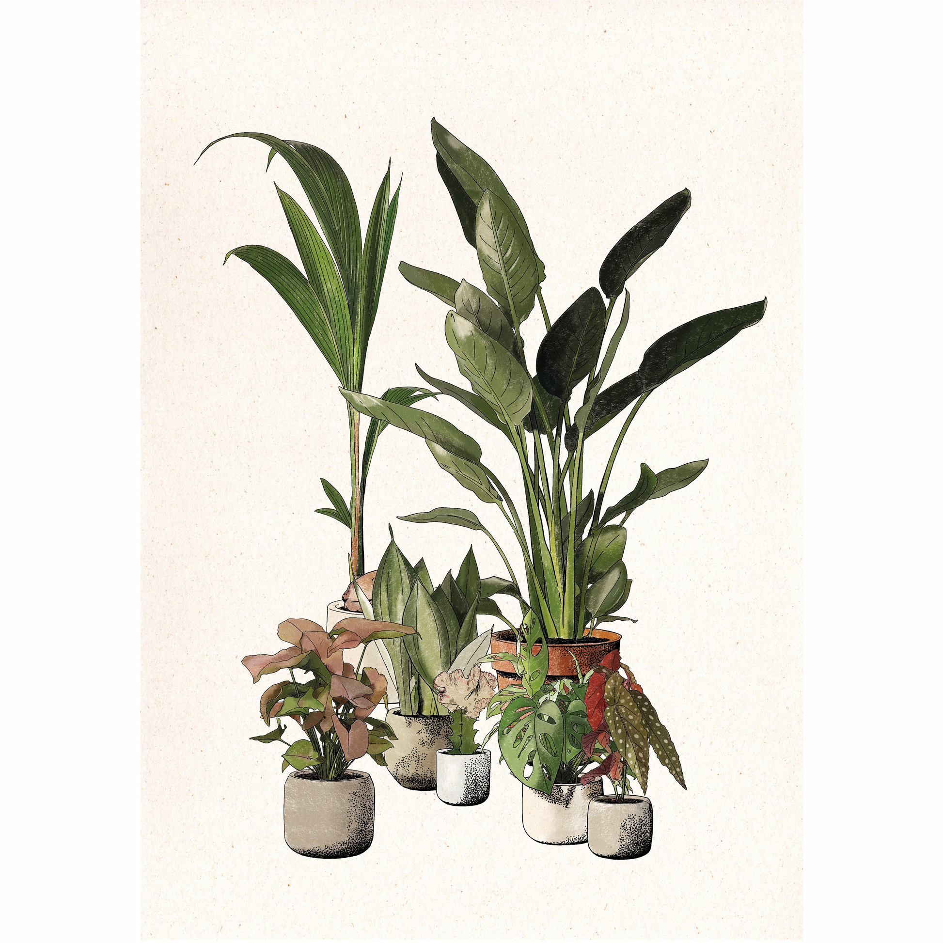 conjunto de plantas tropicales en macetas y a color por la artista Laura Agustí