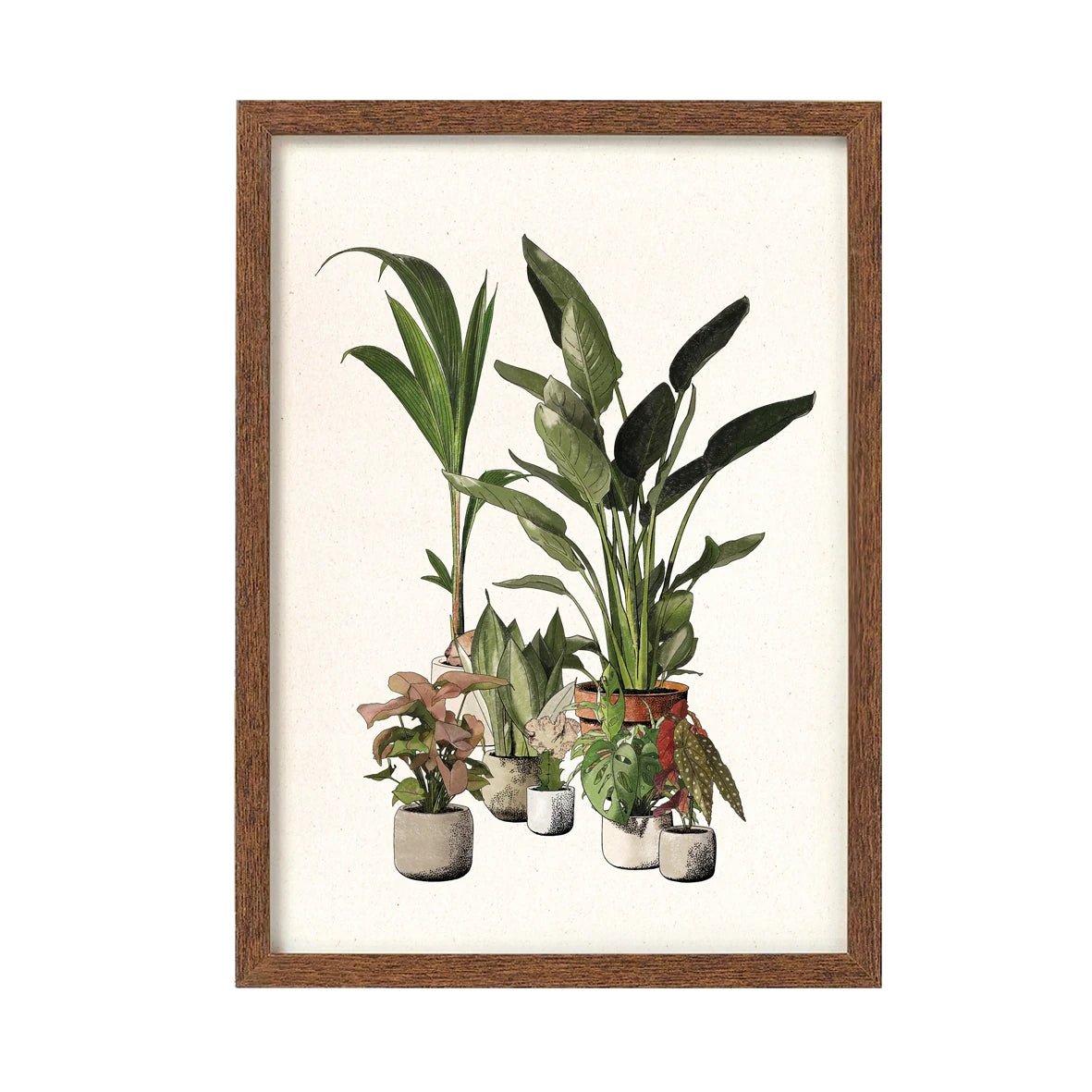 conjunto de plantas tropicales en macetas y a color por la artista Laura Agustí, en un marco de color marrón de madera