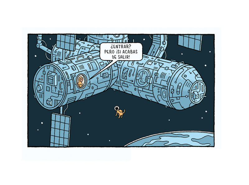 Interior del libro Física para gatos