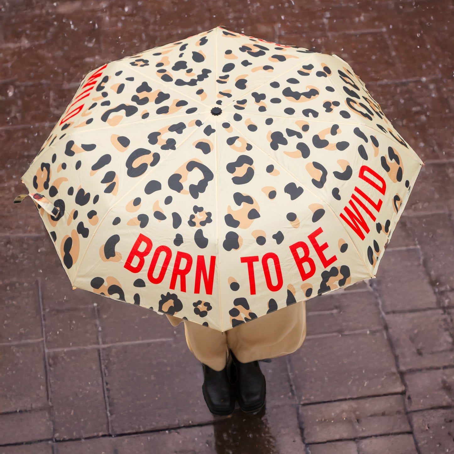 Mujer bajo la lluvia con un paraguas plegable con esqueleto de fibra de vidrio negro, estampado de leopardo y el mensaje Born to be wild escrito en letras mayúsculas rojas