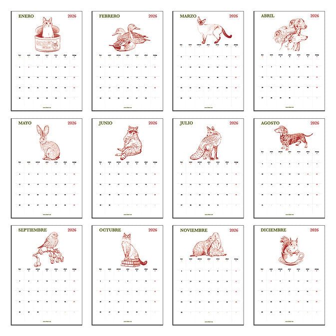 Láminas ilustradas del calendario para notas 2026 ilustrado por Laura Agustí