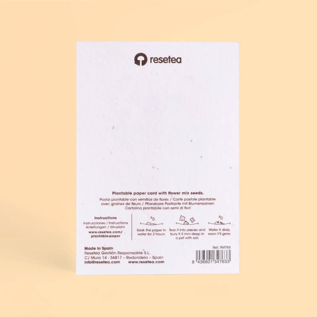 Parte de atrás de las tarjetas de Navidad plantables de Resetea, con instrucciones de uso para sembrarlas