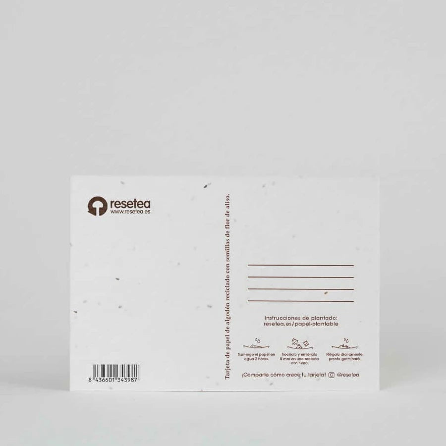 Parte de atrás de la postal con semillas de aliso para felicitar el día de la madre