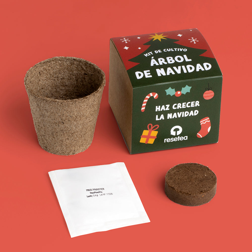 Caja y kit de siembra de un árbol de Navidad: semillas de abeto, pastilla de tierra y maceta compostable