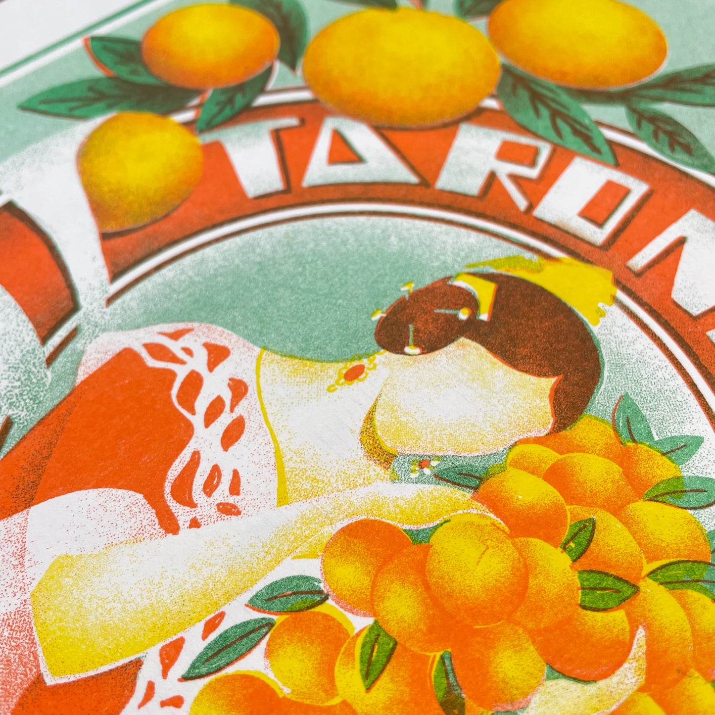 detalle de la risografía donde se puede apreciar el acabado y el detalle de la trama y sus colores.