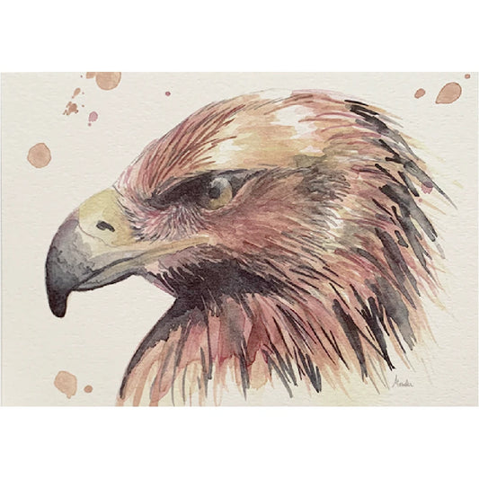 Postal Marialu - Águila