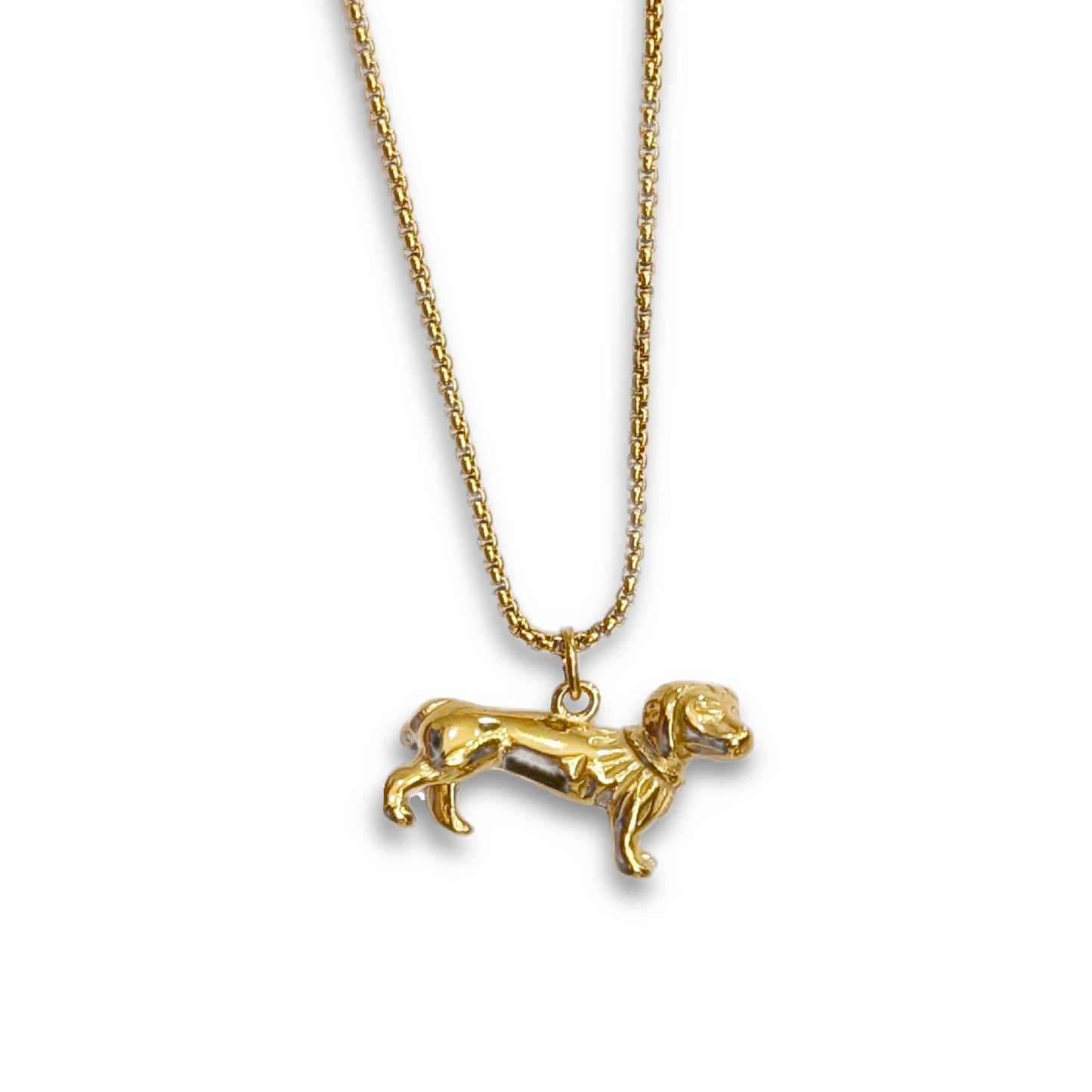 collar en forma de perro salchicha teckel de acero inoxidable en dorado