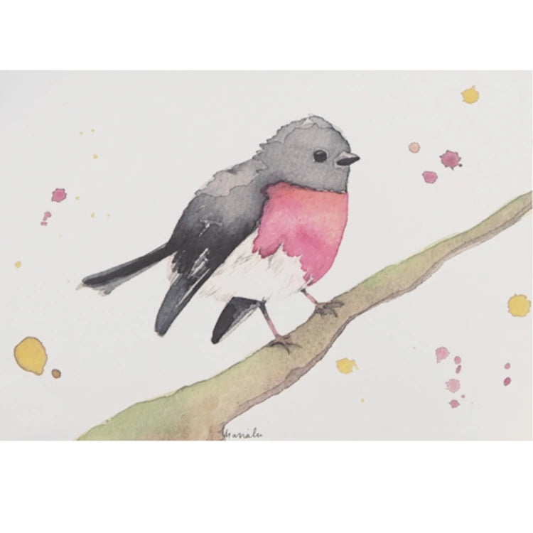 ilustración en acuarela de un pájaro Rose Robin que está posado sobre una rama, con el pecho rojo y el resto negro, de la artista Marialu
