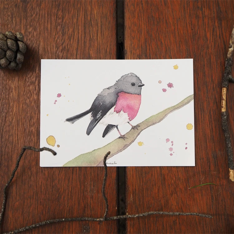ilustración en acuarela de un pájaro Rose Robin que está posado sobre una rama,con el pecho rojo y el resto negro, de la artista Marialu, sobre un fondo de madera con piñsa y ramas de decoración