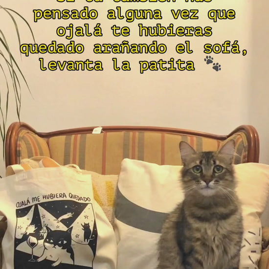 video de un gato junto a la tote "ojalá me hubiera quedado arañando el sofá"