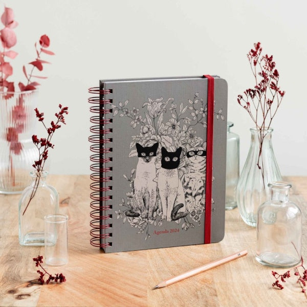 Agenda 2024 ilustrada por Laura Agustí con portada de gatos enmascarados