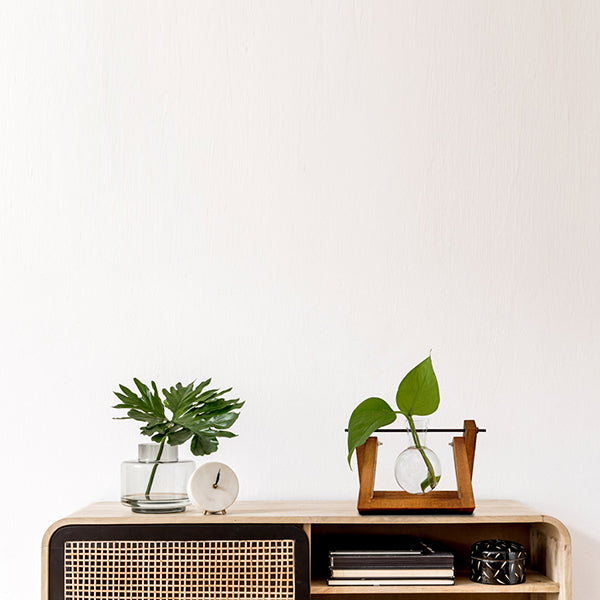 Estación de propagación botánica con soporte de madera y jarrón de vidrio para plantas y esquejes. decorando un mueble de madera