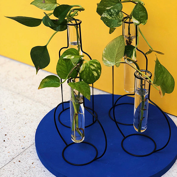 Jarrones con silueta de metal negros con plantas brotando en su interior sobre una base de madera azul y fondo amarillo