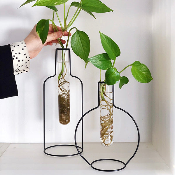 Jarrones negros de metal con una probeta de cristal que tienen plantas con raíces dentro y una mano sujetándolas