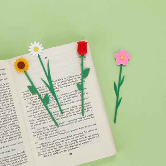 Mucho más que un libro y una rosa