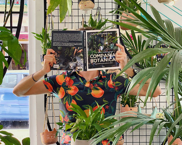 Viaje al 'boom' de la jardinería casera: razones para convertir tu salón en una selva doméstica