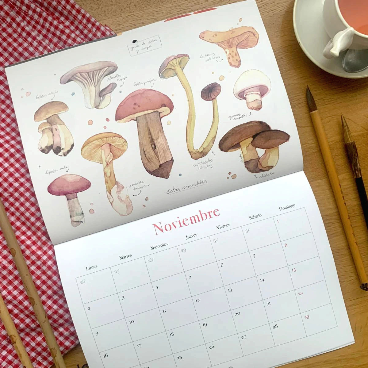 Diseño del mes de noviembre del Calendario de pared 2026 de Esther Gili, Marialu Gili y Lady Desidia con ilustración de Marialu Gili de muchos tipos de setas