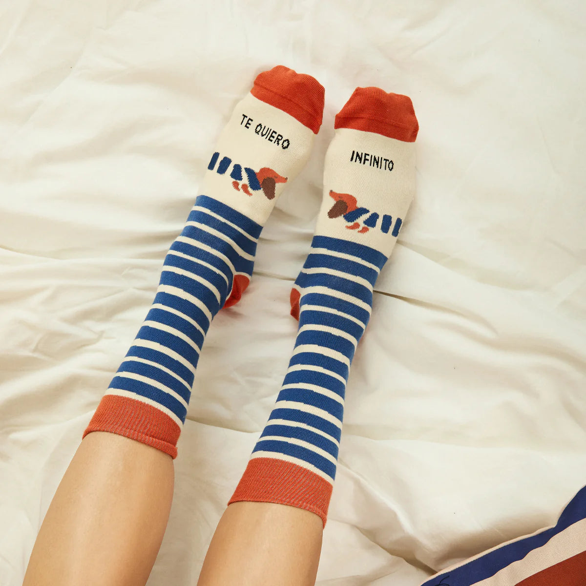 Calcetines a rayas azules con las punteras, los talones y el borde en color rojo. Y estampado de perros salchichas y el mensaje Te quiero infinito