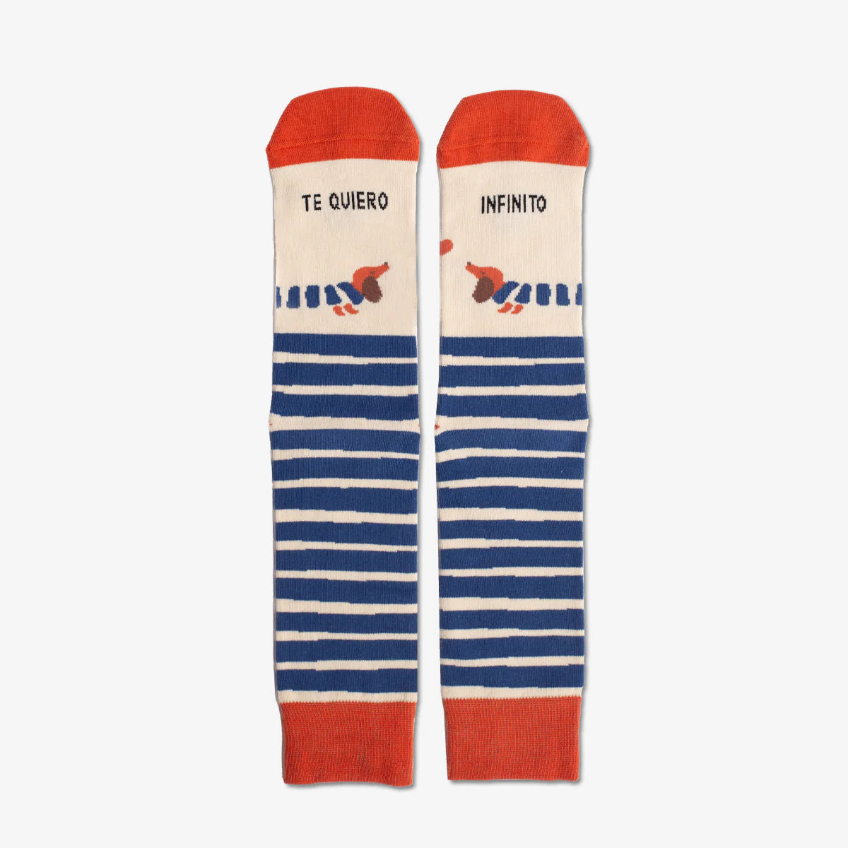 Calcetines a rayas azules con las punteras, los talones y el borde en color rojo. Y estampado de perros salchichas y el mensaje Te quiero infinito