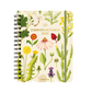 Portada de la agenda 2026 de Compañía Botánica con anillas y organización a semana vista