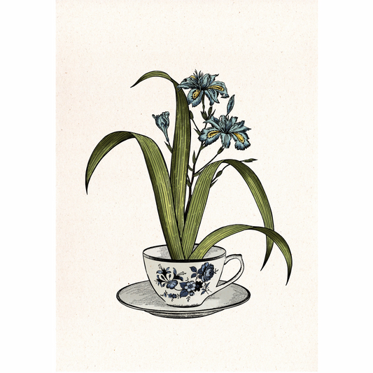 ilustración de la artista Laura Agustí de una taza de té con motivos florales en color azul sobre un plato, de donde sale un lirio en color azul