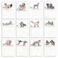 Láminas del calendario de pared 2027 ilustrado por Laura Agustí con animales