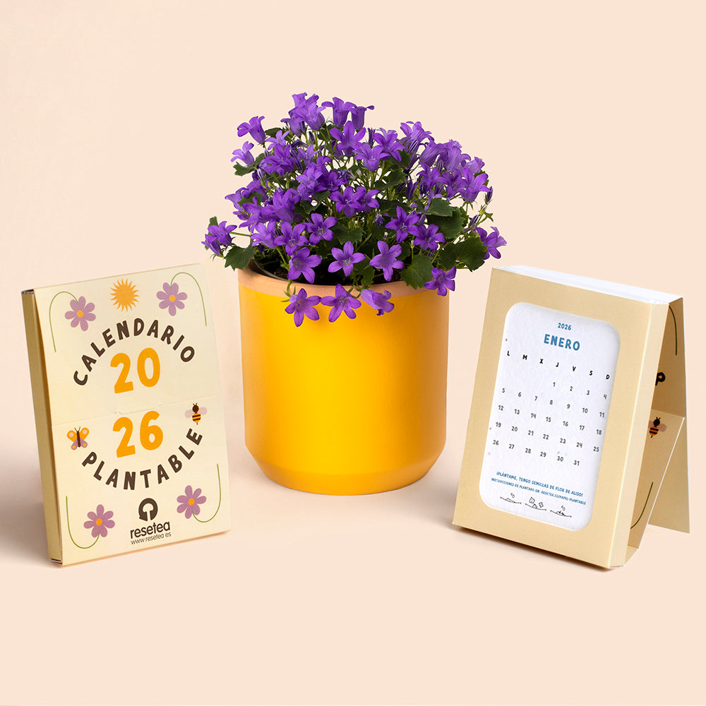 Calendario 2026 de Resetea hecho de papel plantable junto a una maceta amarilla con flores moradas