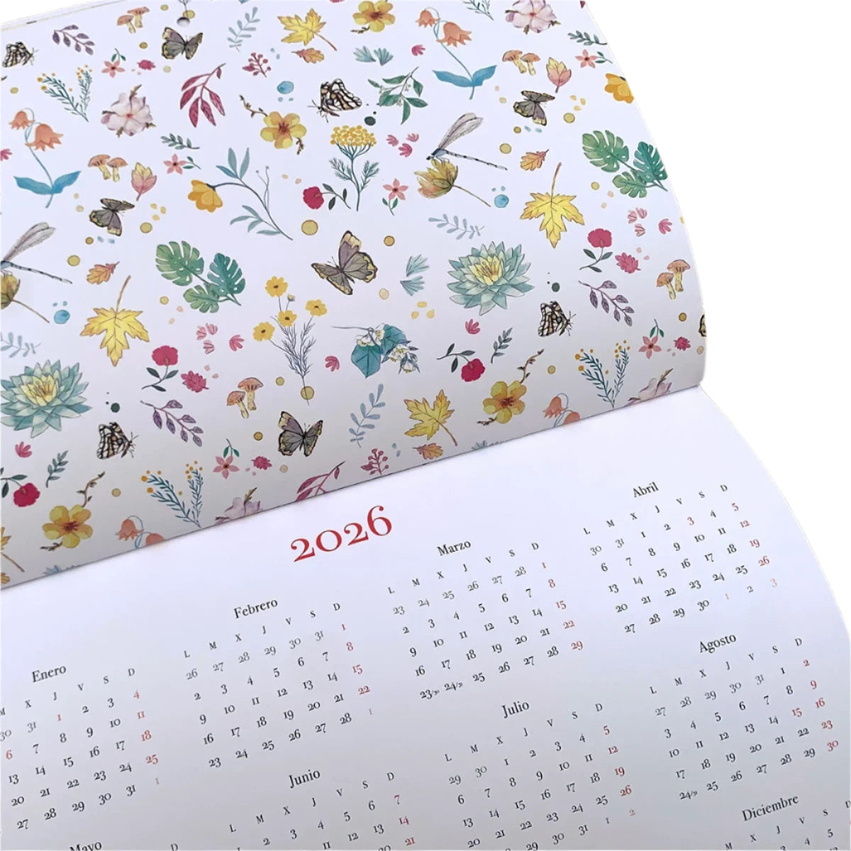 Calendario de pared 2025 con ilustraciones de Esther Gili, Marialu y Lady Desidia con guardas de flores y calendario a futuro de 2026