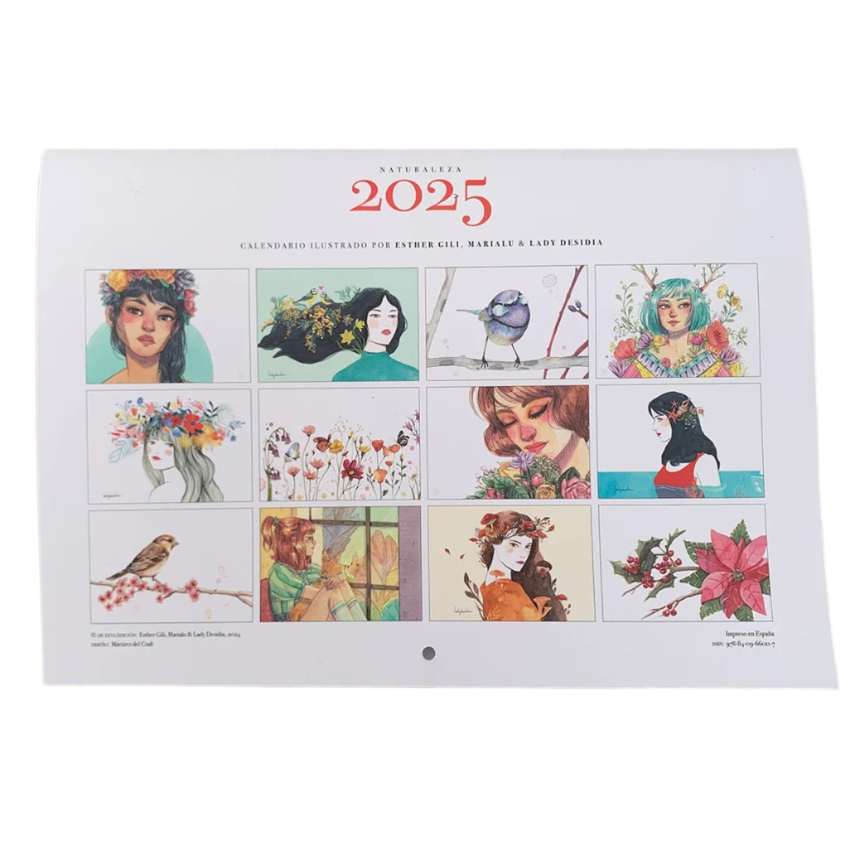 Trasera del calendario de pared 2025 con ilustraciones de Esther Gili, Marialu y Lady Desidia con imágenes en miniatura de las ilustraciones de los 12 meses