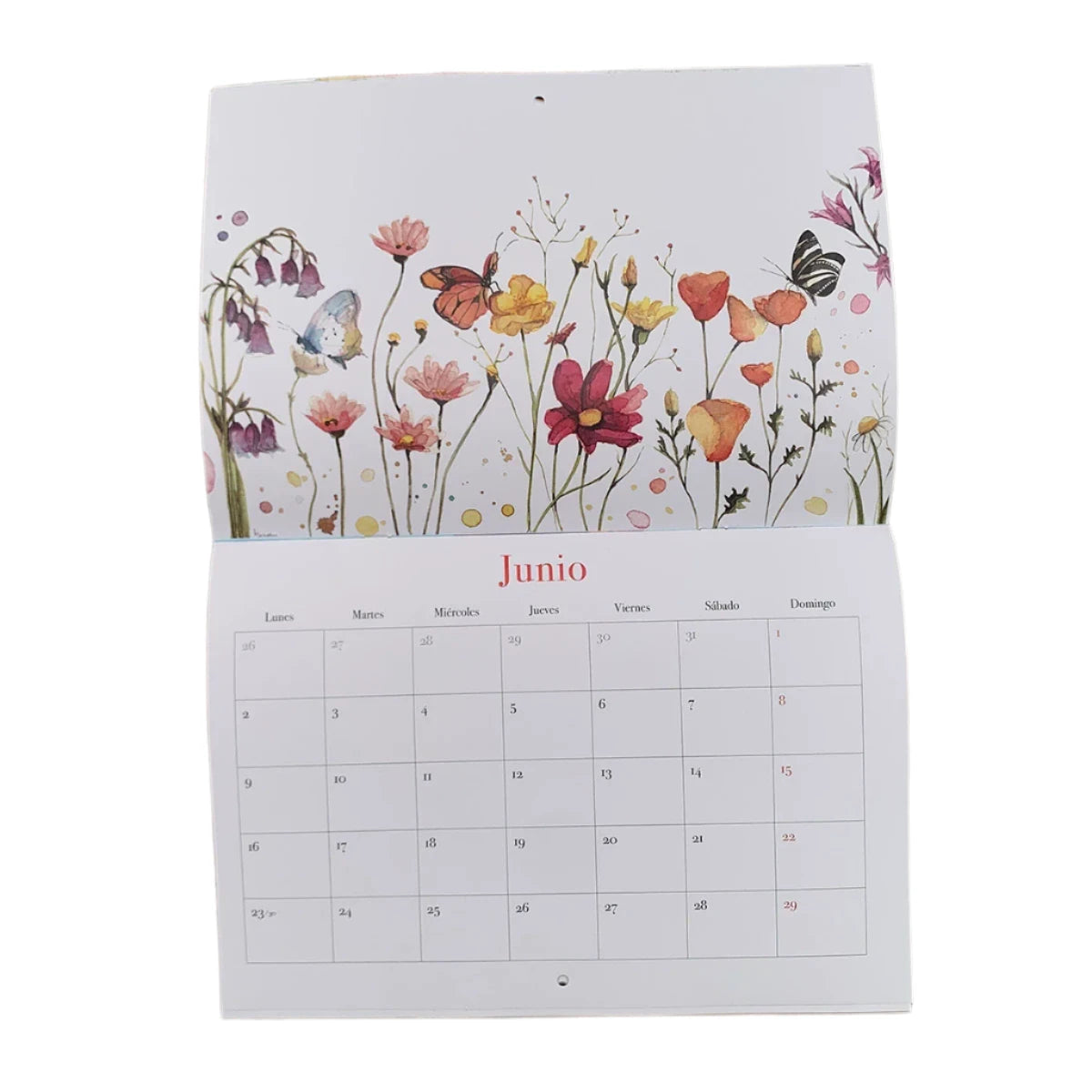 Mes de junio en del calendario de pared 2025 ilustrado por Marialu Gili con flores