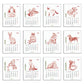 Ilustraciones mensuales del calendario de mesa 2026 ilustrado por Laura Agustí
