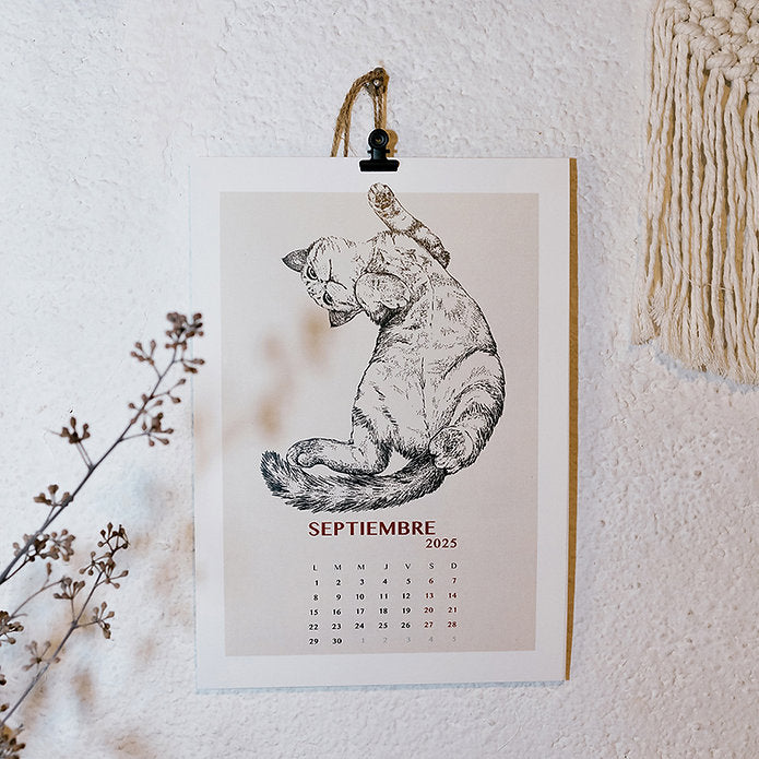 Mes de Septiembre del Calendario de pared del 2025 de Laura Agustí con un gato tumbado 