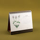 Mes de diciembre del calendario de mesa 2027 ilustrado por Compañía Botánica