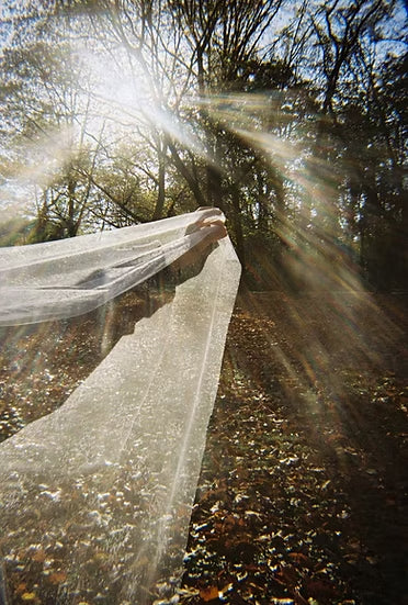 Fotografía analógica tomada con la cámara Miss Me? de Ninm Lab