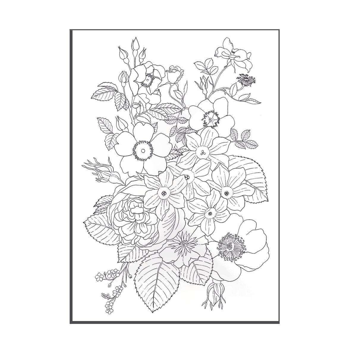 Lámina del libro de colorear de con ilustración de flores de Laura Agustí 
