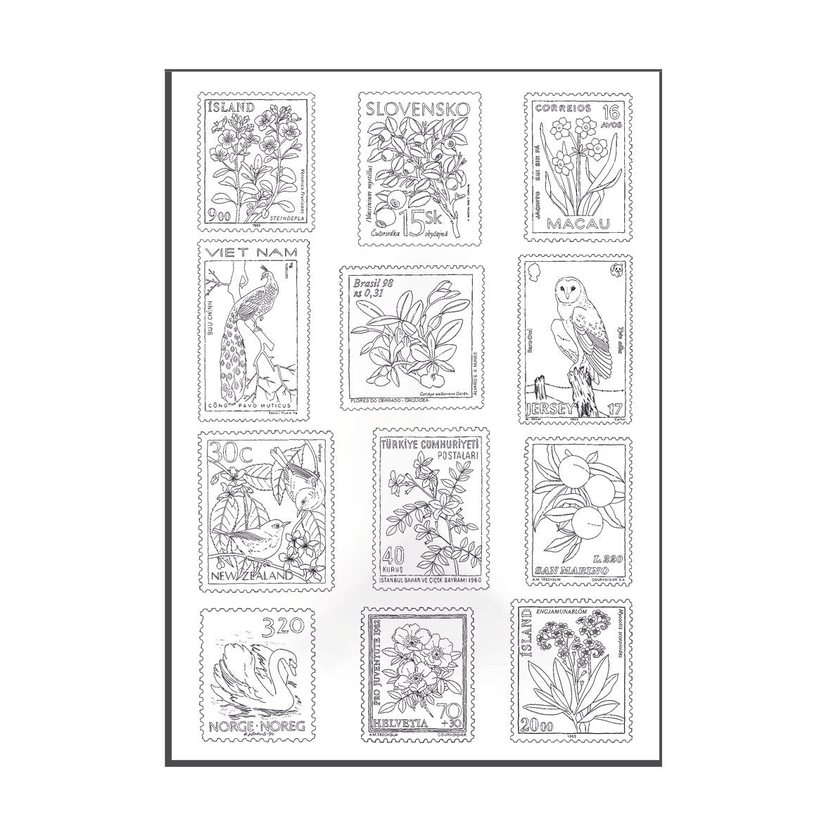 Lámina del libro de colorear de con ilustración de sellos del mundo de Laura Agustí 
