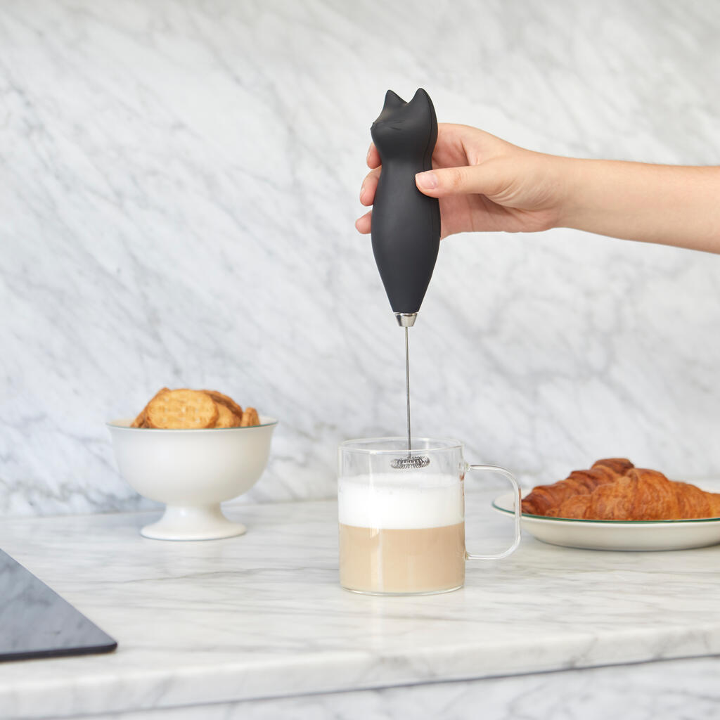 Espumador de leche