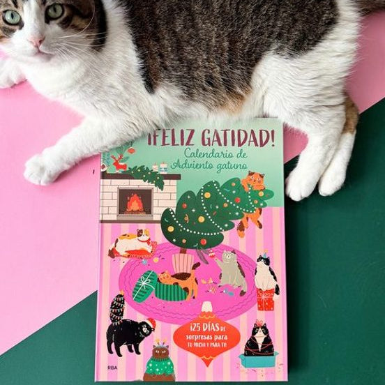 Calendario de Adviento con 25 regalitos de temática gatuna perfecto para amantes de los gatos junro a un gato