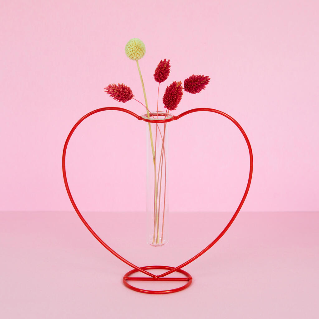 Florero con probeta para multiplicar esquejes con forma de corazón rojo