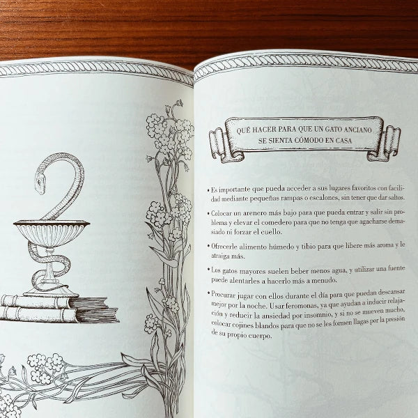 Páginas interiores del libro Historia de un Gato de la ilustradora Laura Agustí con consejos para gatos ancianos