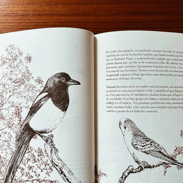 Páginas interiores del libro Historia de un Gato de la ilustradora Laura Agustí con pájaros