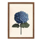 Lámina Hortensia de Laura Agustí tamaño A4 enmarcada en un marco color madera