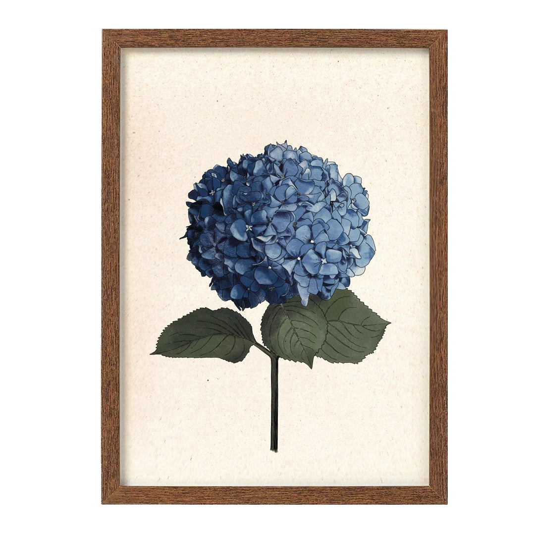 Lámina Hortensia de Laura Agustí tamaño A4 enmarcada en un marco color madera