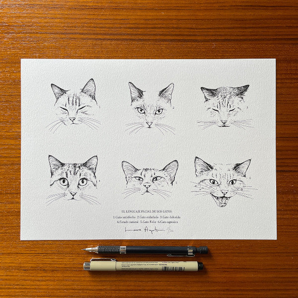 Print A4 de Laura Agustí con seis caras de gatos según su humor
